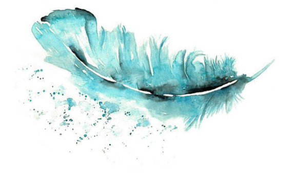 teal feather watercolor image