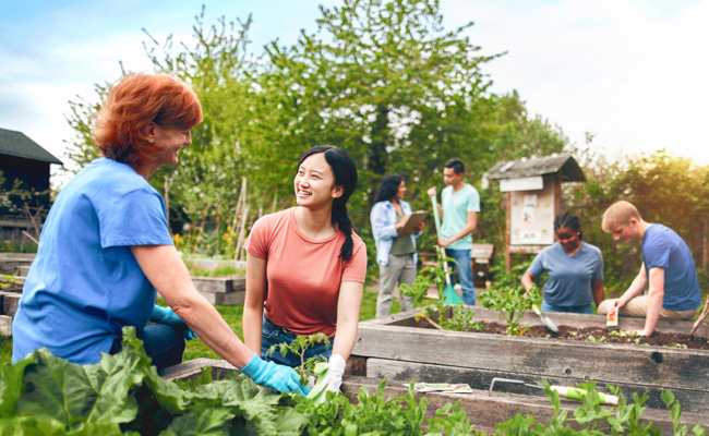 Two women working in a community garden